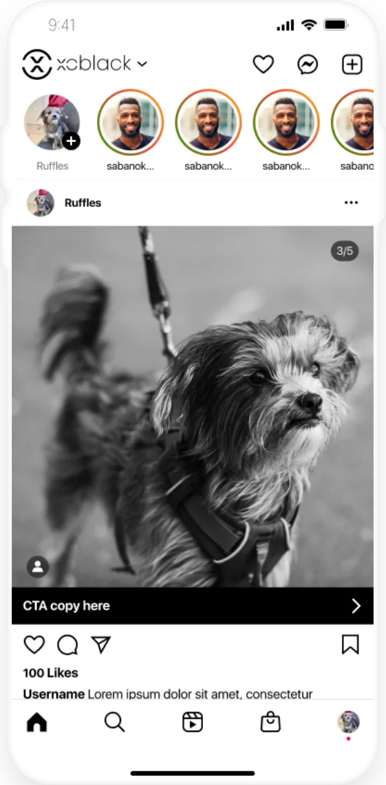 flutter-laravel
